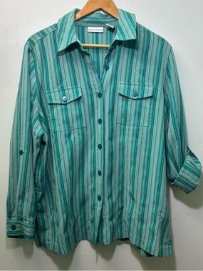 Draper's & Damon's Teal Striped Button-Up Shirt